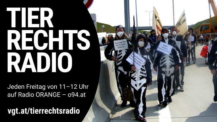 Bild zu dieser Radiosendung