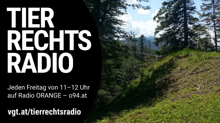Bild zu dieser Radiosendung