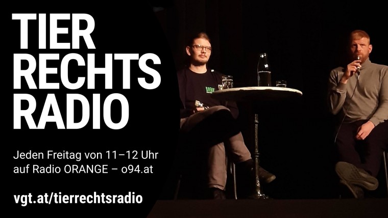 Bild zu dieser Radiosendung