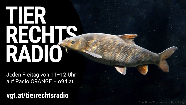 Bild zu dieser Radiosendung