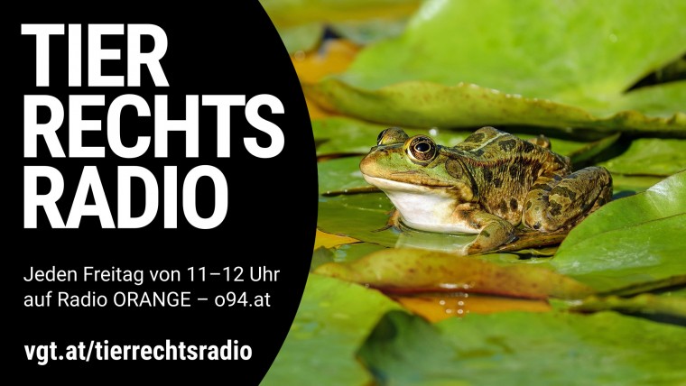 Bild zu dieser Radiosendung