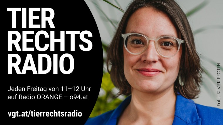 Bild zu dieser Radiosendung