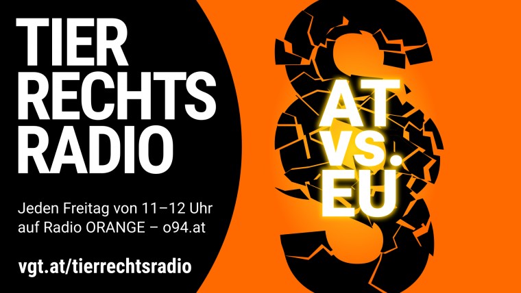 Bild zu dieser Radiosendung