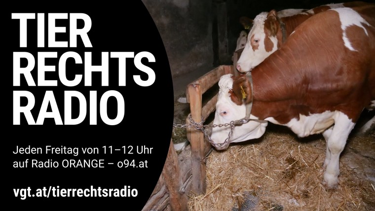 Bild zu dieser Radiosendung