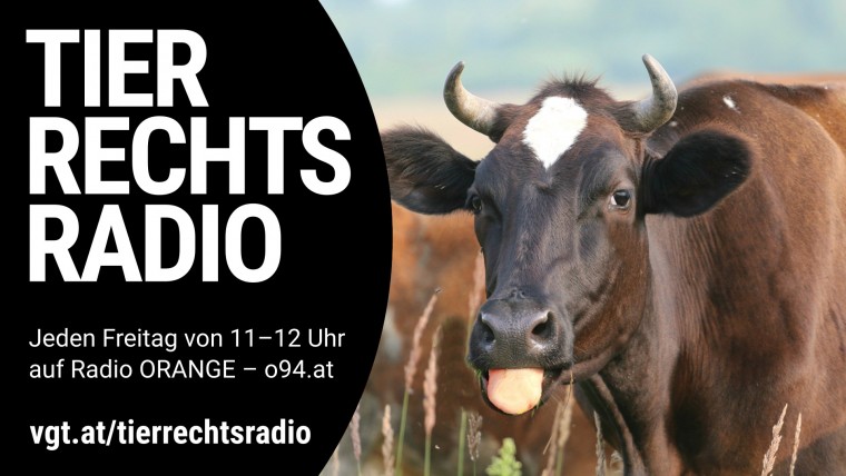 Bild zu dieser Radiosendung