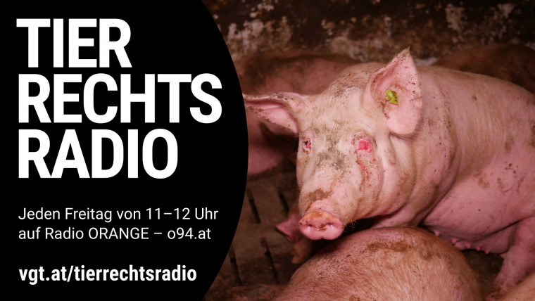 Bild zu dieser Radiosendung