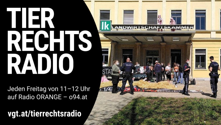 Bild zu dieser Radiosendung
