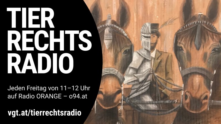 Bild zu dieser Radiosendung