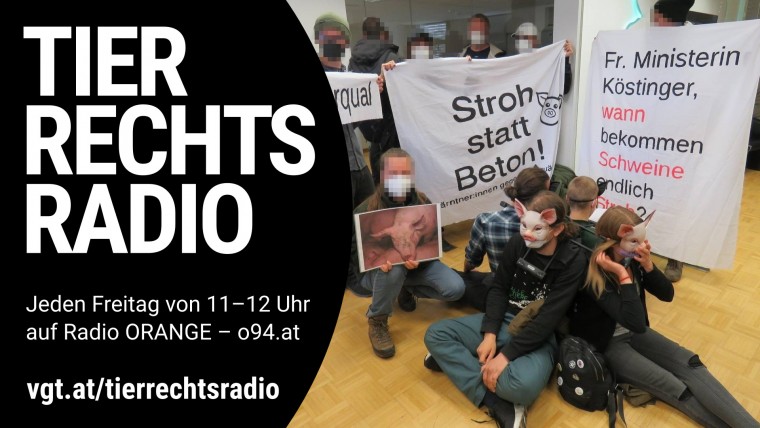 Bild zu dieser Radiosendung