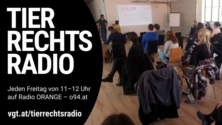 Bild zu dieser Radiosendung