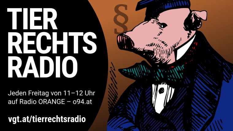 Bild zu dieser Radiosendung