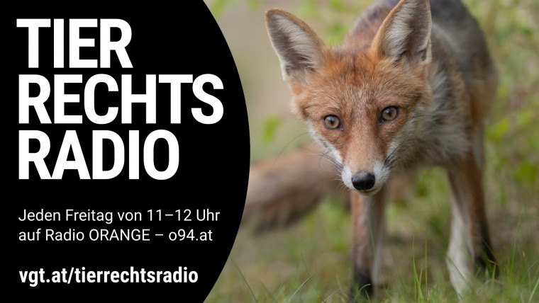 Bild zu dieser Radiosendung