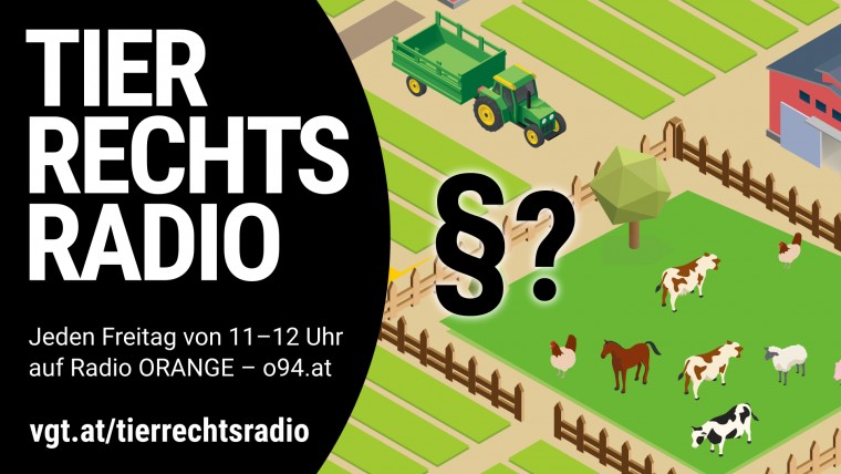 Bild zu dieser Radiosendung