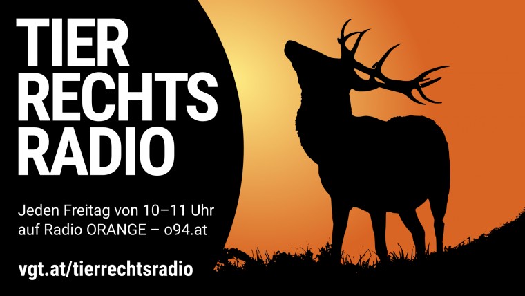 Bild zu dieser Radiosendung