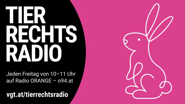 Bild zu dieser Radiosendung