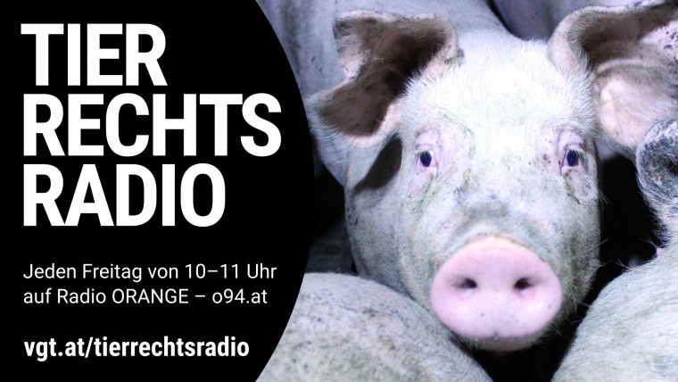 Bild zu dieser Radiosendung