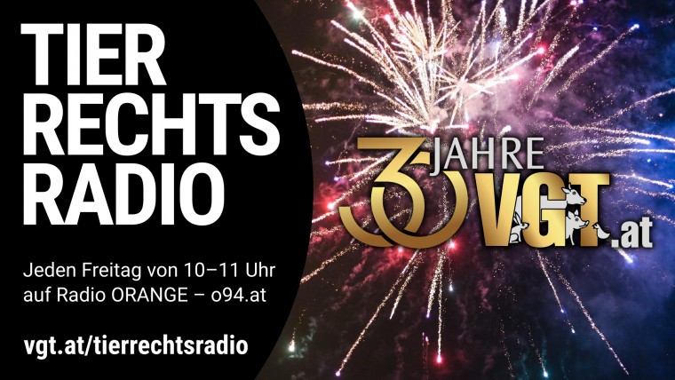 Bild zu dieser Radiosendung