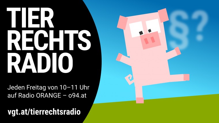 Bild zu dieser Radiosendung
