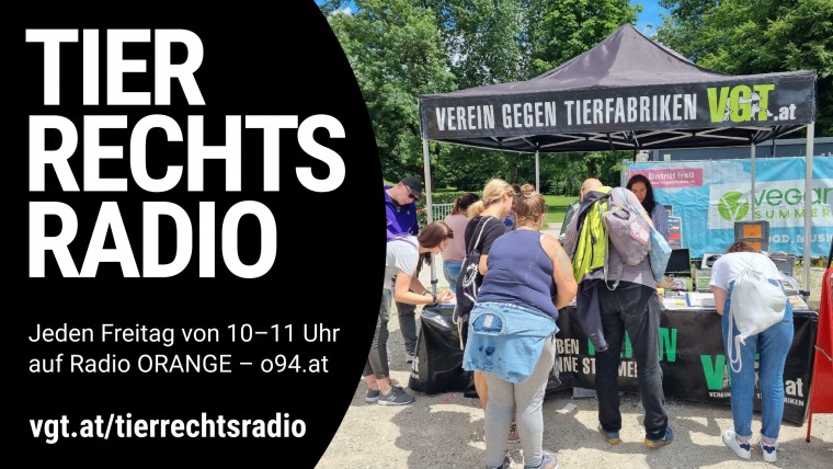 Bild zu dieser Radiosendung