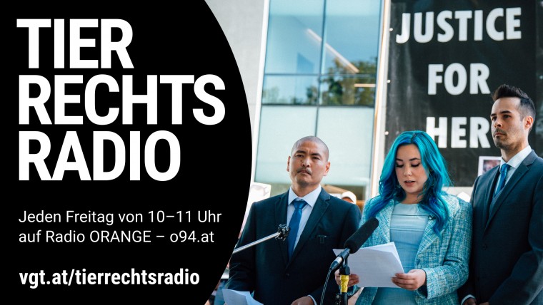 Bild zu dieser Radiosendung
