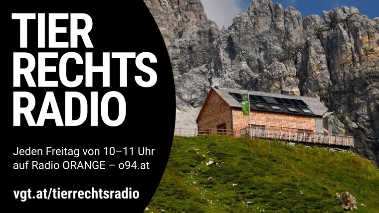Bild zu dieser Radiosendung