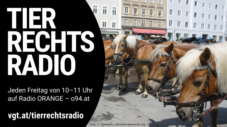 Bild zu dieser Radiosendung