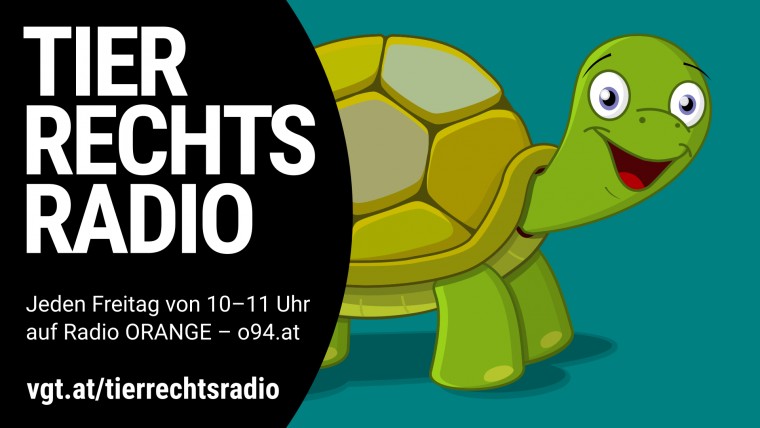 Bild zu dieser Radiosendung