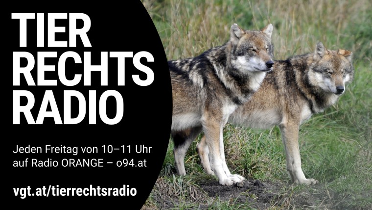 Bild zu dieser Radiosendung