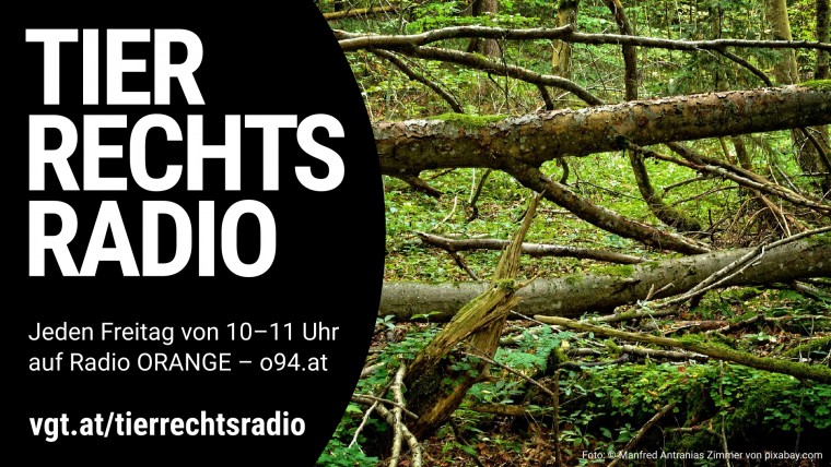 Bild zu dieser Radiosendung