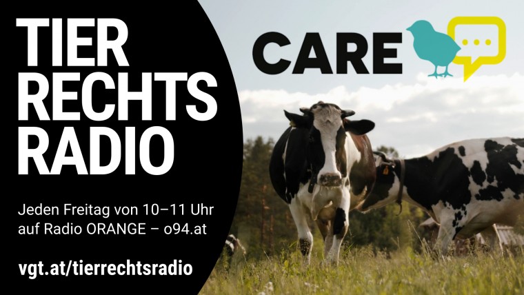 Bild zu dieser Radiosendung