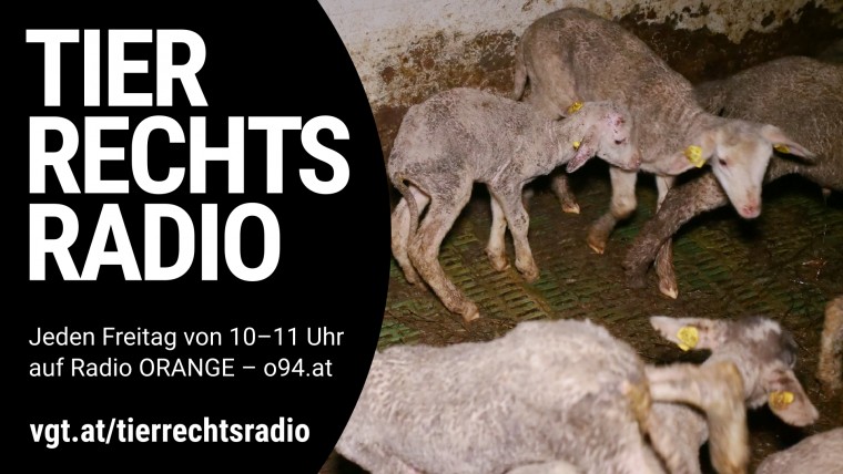 Bild zu dieser Radiosendung