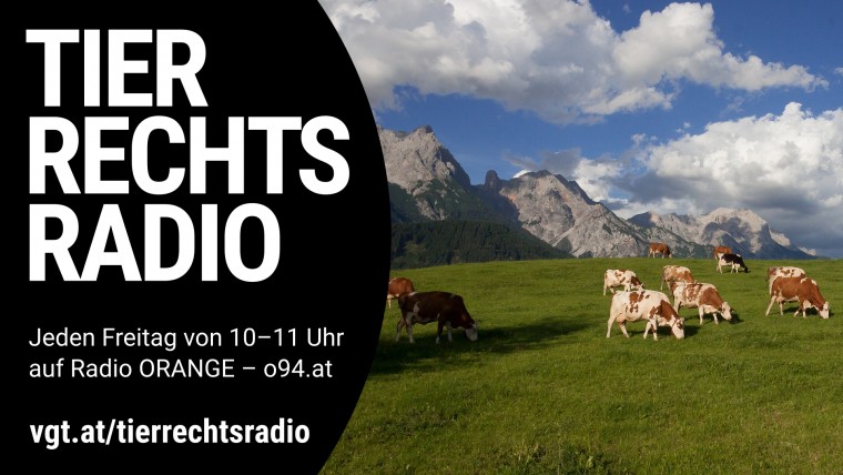Bild zu dieser Radiosendung