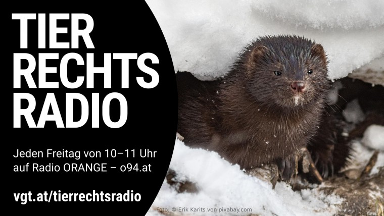 Bild zu dieser Radiosendung