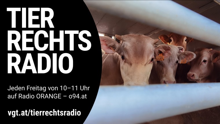 Bild zu dieser Radiosendung