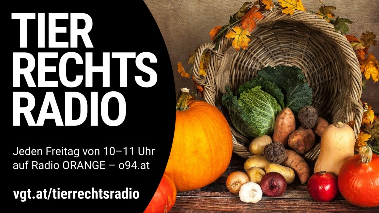 Bild zu dieser Radiosendung