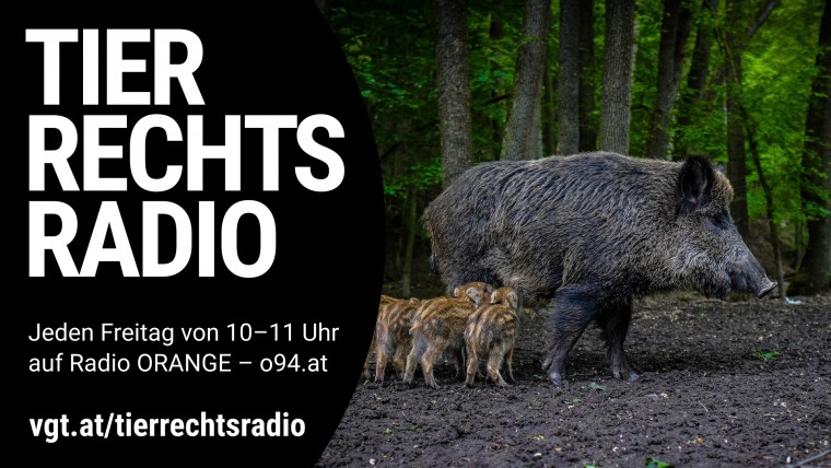 Bild zu dieser Radiosendung