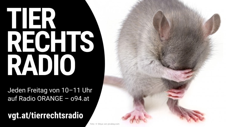 Bild zu dieser Radiosendung
