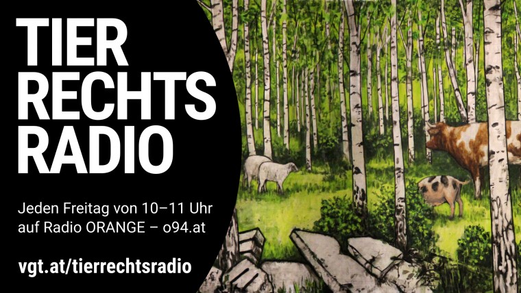Bild zu dieser Radiosendung