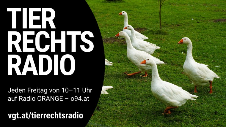 Bild zu dieser Radiosendung