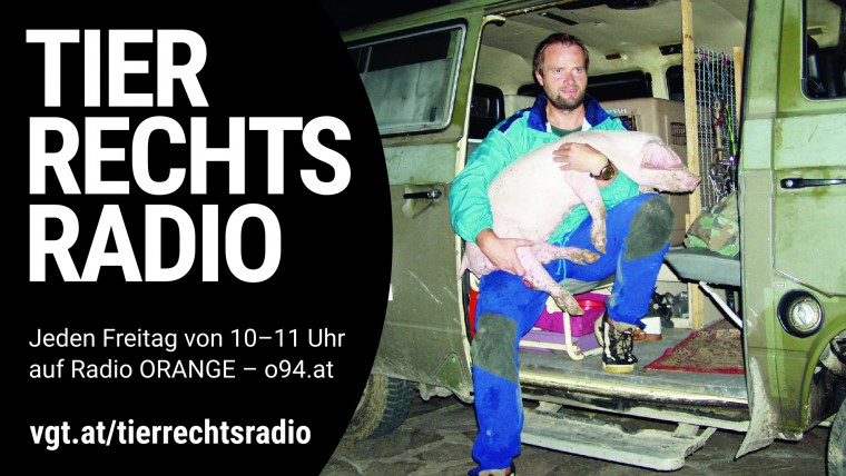 Bild zu dieser Radiosendung