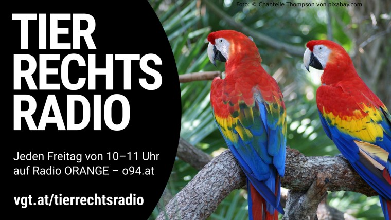 Bild zu dieser Radiosendung
