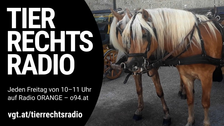 Bild zu dieser Radiosendung