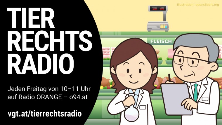 Bild zu dieser Radiosendung