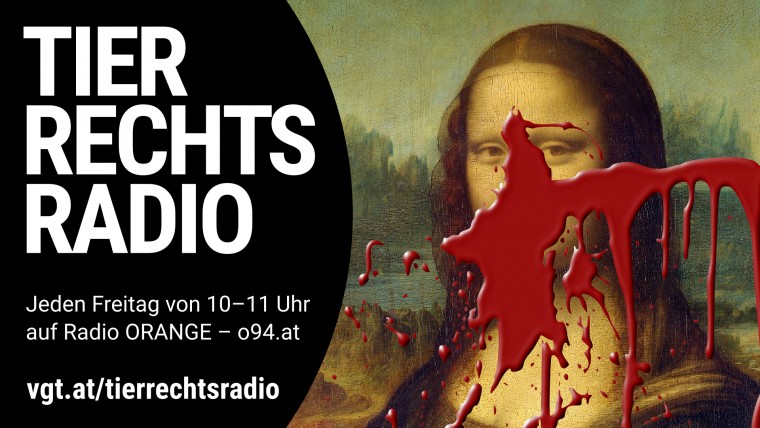 Bild zu dieser Radiosendung