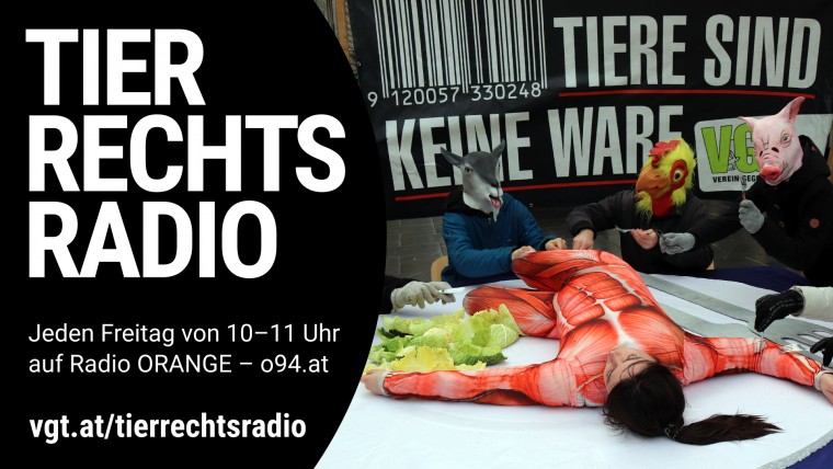 Bild zu dieser Radiosendung