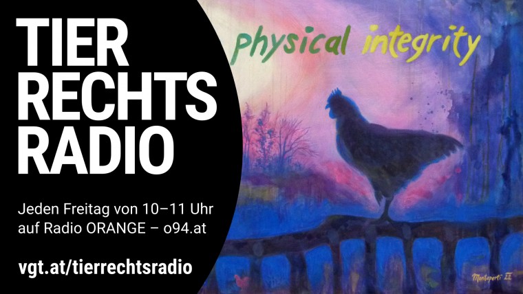 Bild zu dieser Radiosendung