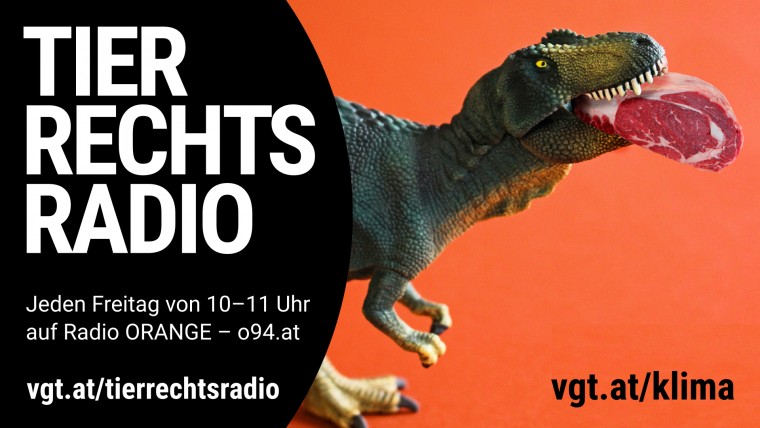 Bild zu dieser Radiosendung