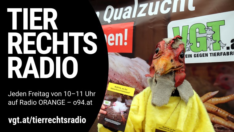 Bild zu dieser Radiosendung