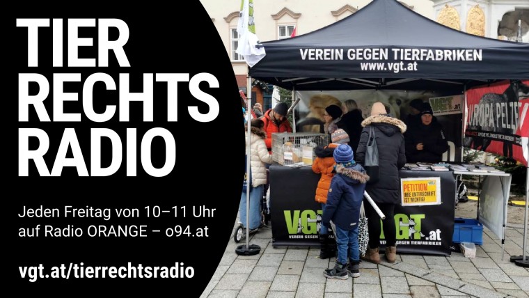 Bild zu dieser Radiosendung