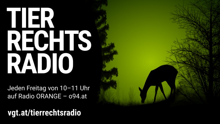 Bild zu dieser Radiosendung